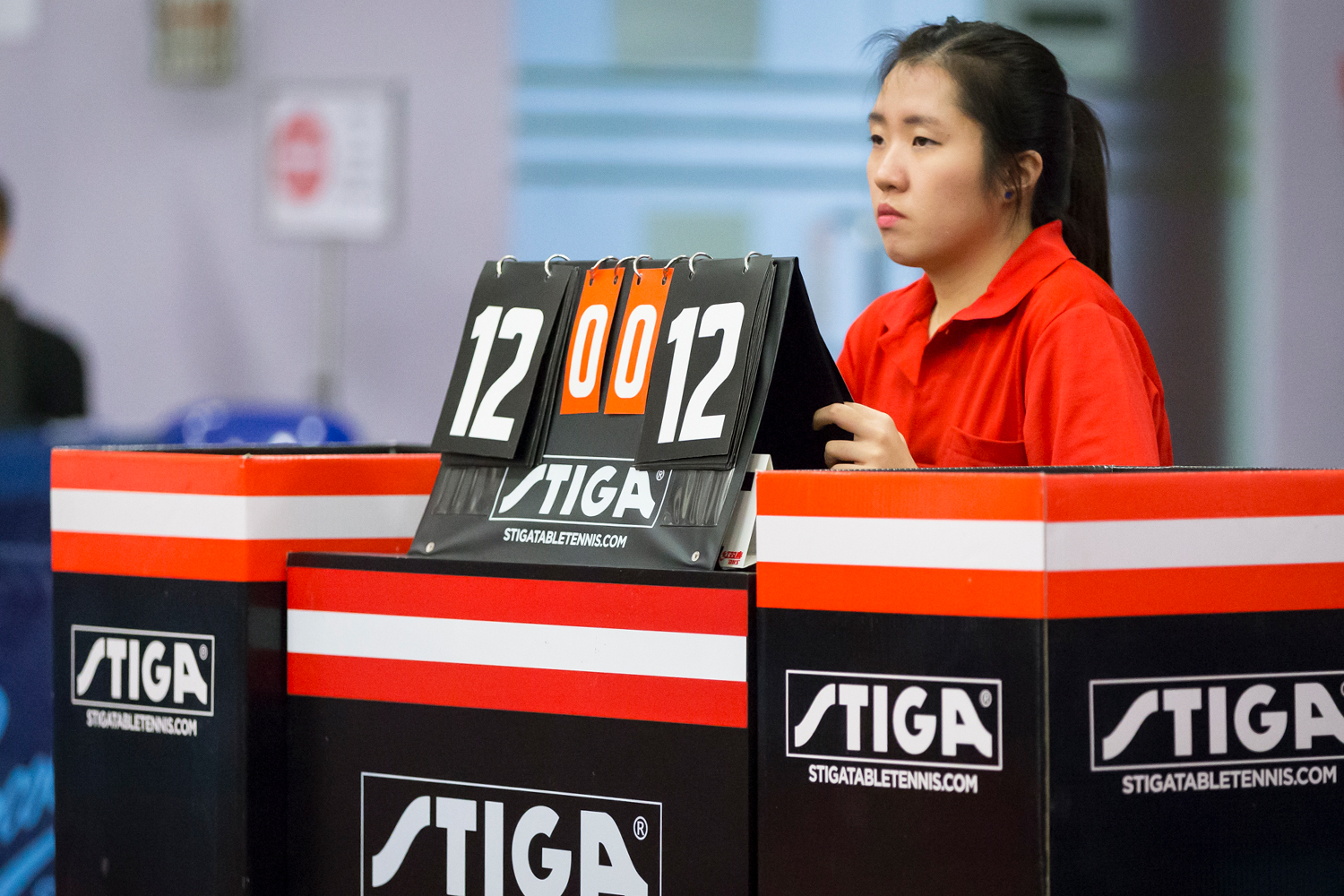 Dr Ng Eng Hen Cup/STTA Table Tennis Championships 2014